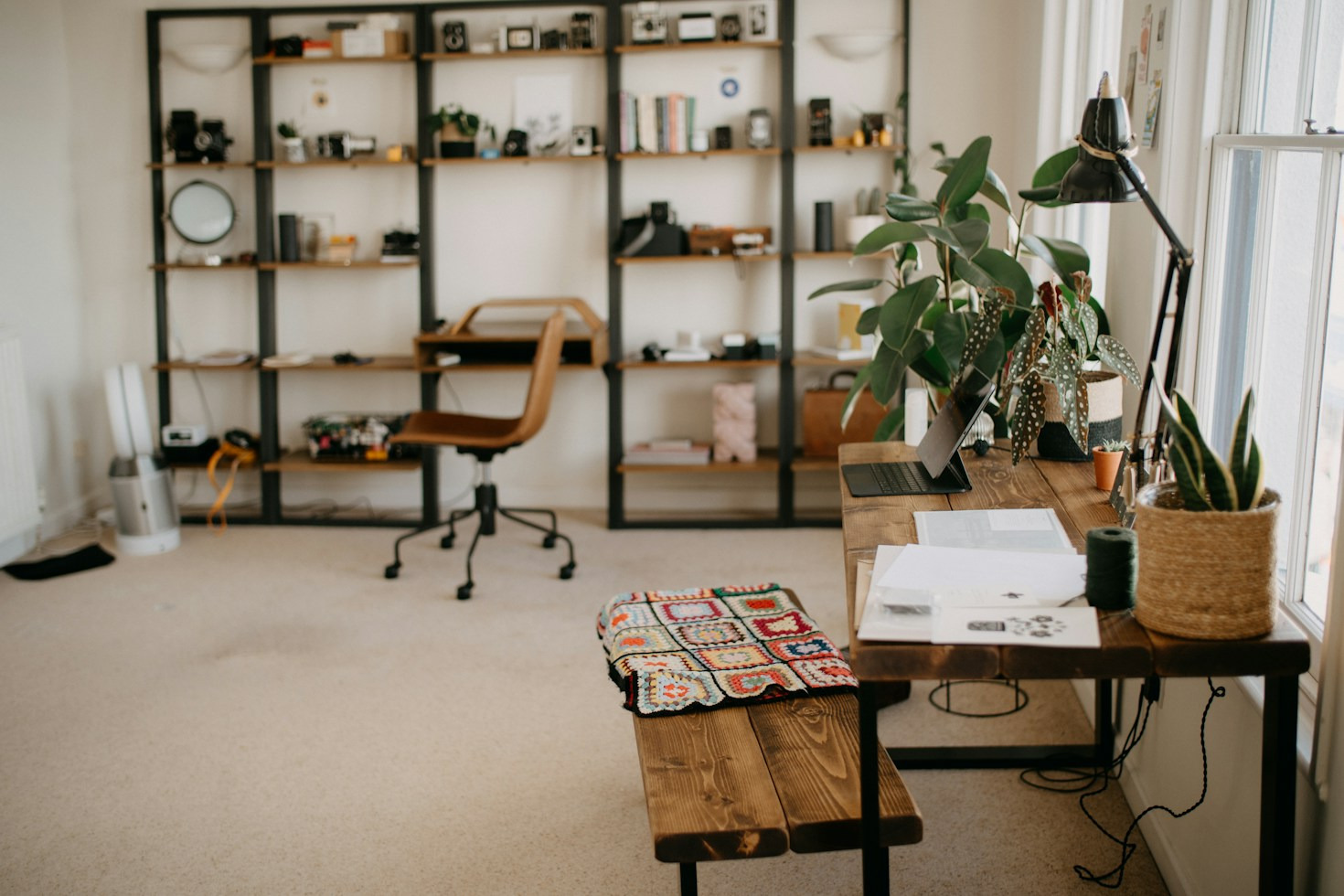 The Unexpected Freedom of Chasing Curiosity Without Any Pressure